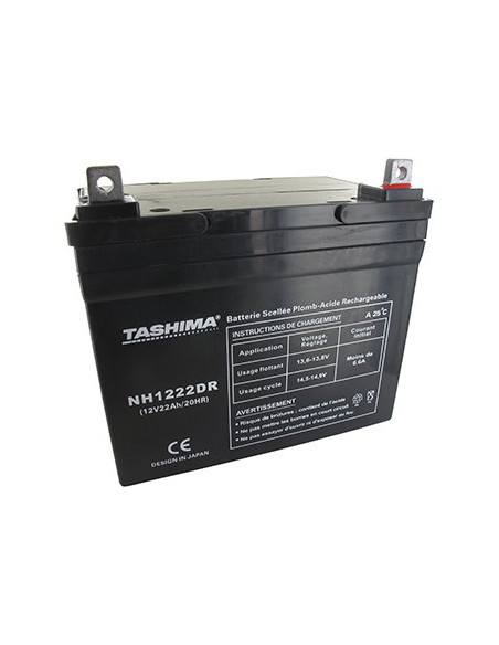 Batterie TASHIMA gel/agm 100% étanche 12V, 22A pour tondeuse autoportée. L: 195, l: 130, h: 180, + à droite. - Batterie à mettre
