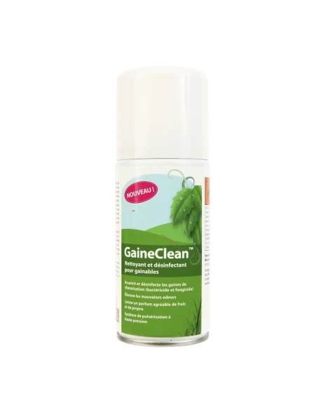 Nettoyant aérosol GaineClean - 150 mL Aspen Pumps