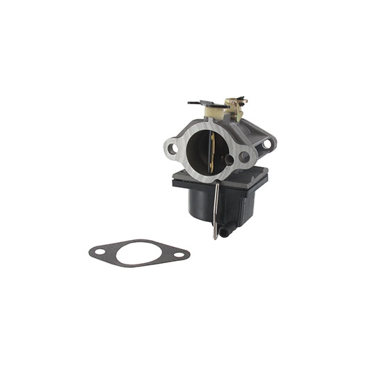 Carburateur TECUMSEH 640065A / S-60795. Adaptable sur Moteurs OHV110, OHV125, OHV130, OHV135 et OV358EA.
