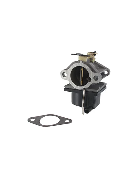 Carburateur TECUMSEH 640065A / S-60795. Adaptable sur Moteurs OHV110, OHV125, OHV130, OHV135 et OV358EA.