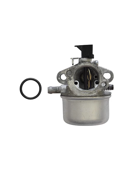 Carburateur BRIGGS & STRATTON 498965 pour QUANTUM 5CV remplace origine: 494216, 493422, 494971.