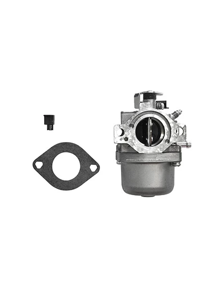 Carburateur BRIGGS & STRATTON 799728 pour anciens Moteurs 12,5CV. Remplace origine: , 498027, 495706, 494502, 494392, 498134, 49