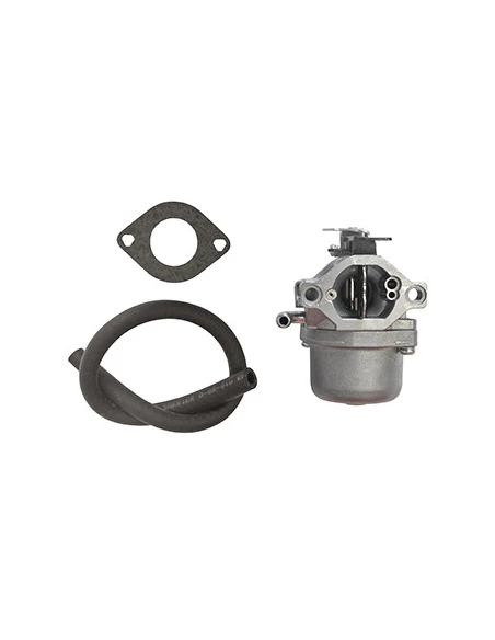 Carburateur BRIGGS & STRATTON pour OHV AVS 13,5CV. Remplace origine 590399, 794653.