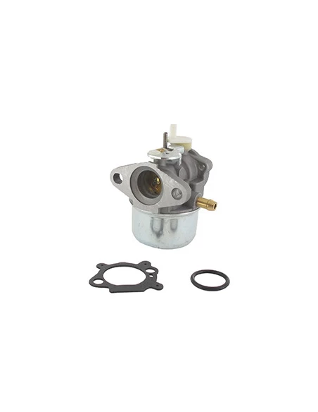 Carburateur adaptable BRIGGS & STRATTON pour modèles 497586, 499059.