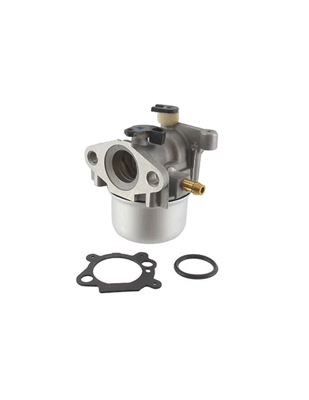 Carburateur adaptable BRIGGS & STRATTON pour moteurs 124L02, 124L05, 124L07, 124T02. Remplace origine 790845, 794304, 796707, 79