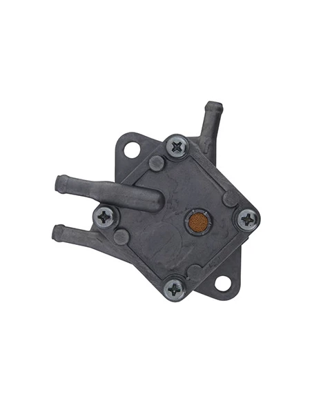 Pompe à essence en métal adaptable BRIGGS & STRATTON, HONDA, JOHN DEERE, KAWASAKI et KOHLER pour tuyaux avec Ø: de 6mm. Remplace