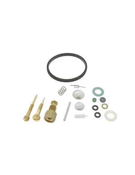 Kit réparation carburateur adaptable pour moteur TECUMSEH / TECNAMOTOR. Remplace origine: 631029.