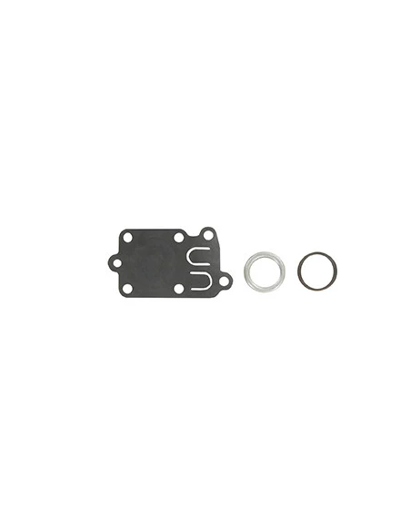 Kit membrane, ressort et joint adaptable pour BRIGGS & STRATTON. Remplace origine: 272538S + 690766