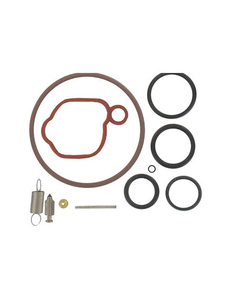 Kit de réparation carburateur adaptable BRIGGS & STRATTON pour modèles 08P502, 093J02, 09P602, 09P702 et autres. Remplace origin