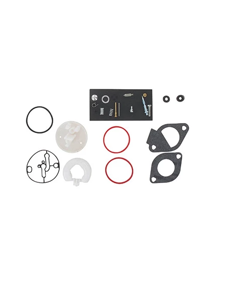 Kit de réparation carburateur adaptable BRIGGS & STRATTON pour séries 215702, 215705, 215802 et carburateurs NIKKI. Remplace ori