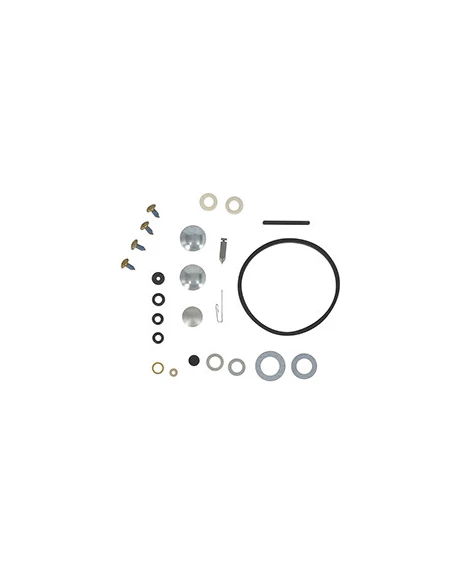Kit de réparation adaptable pour carburateur TECUMSEH / TECNAMOTOR modèles HMSK, HSK845, HSK850, HSSK, LEV, LH, LV, OH195 et OHM