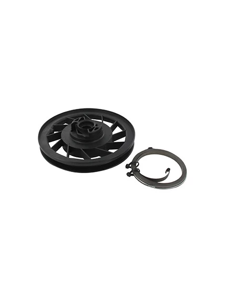 Poulie de lanceur avec ressort adaptable pour moteurs BRIGGS & STRATTON 5 ch. verticaux OHV Vanguard et Quantum Modèles 9970, 12