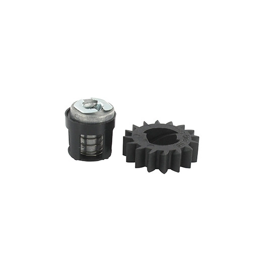 Kit Ressort et Pignon adaptable pour notre Nez de démarreur BRIGGS & STRATTON 510-0421. Remplace origine: 495877, 696539