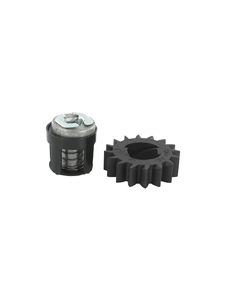 Kit Ressort et Pignon adaptable pour notre Nez de démarreur BRIGGS & STRATTON 510-0421. Remplace origine: 495877, 696539