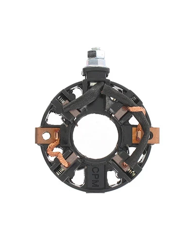 Carter porte-Charbons adaptable BRIGGS & STRATTON pour séries 294700, 303700, 422400 et 422700 (livré avec Charbons)