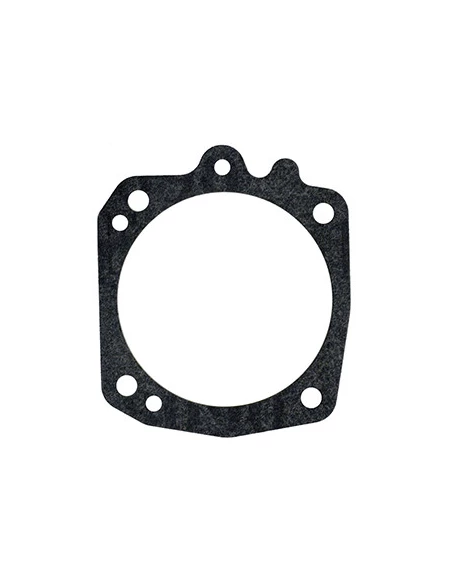 Membrane adaptable pour carburateur TILLOTSON type HS. Remplace origine: 16B-226