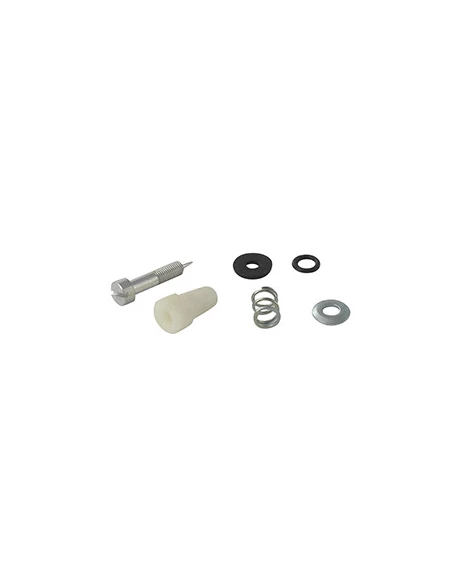 Kit vis de richesse adaptable pour BRIGGS & STRATTON 3 & 4 ch. verticaux (Vacu & Pulsa-Jet).Remplace origine: 395508.
