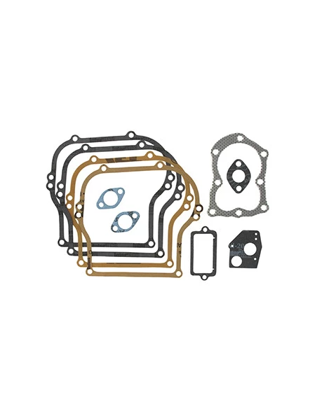 Pochette de joints adaptable pour moteur BRIGGS & STRATTON modèles 100200, 130200, 131200,132200, 133200, 125200 (5 ch. Horizont