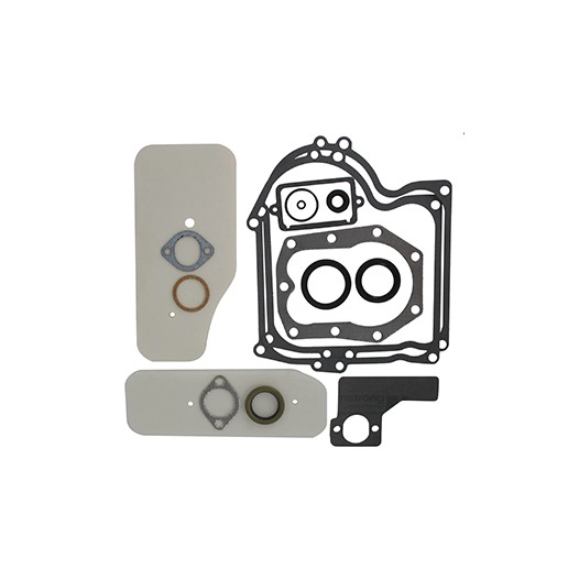 Pochette de joints adaptable pour moteur BRIGGS & STRATTON modèles 220700, 251700, 252700,253700, 254700, 255700,256700, 257700