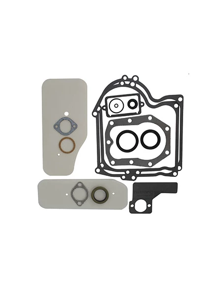 Pochette de joints adaptable pour moteur BRIGGS & STRATTON modèles 220700, 251700, 252700,253700, 254700, 255700,256700, 257700