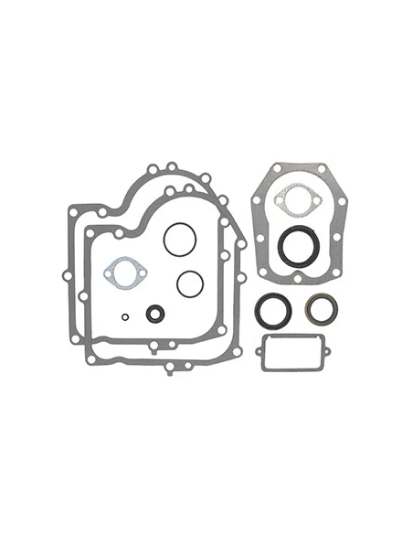 Pochette de joints adaptable pour BRIGGS & STRATTON modèles28M700, 280700, 281700,292700, 283700, 294700, 286700 (10, 10.5, 11.5