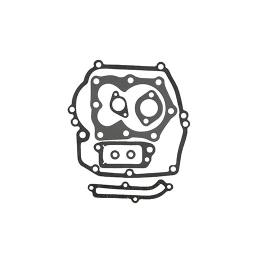 Pochette de joints adaptable BRIGGS & STRATTON pour moteur 4, 5 et 6ch Quantum XM, IC / XT ,12A700, 12A800. Remplace origine: 49