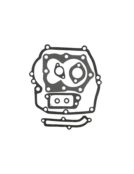 Pochette de joints adaptable BRIGGS & STRATTON pour moteur 4, 5 et 6ch Quantum XM, IC / XT ,12A700, 12A800. Remplace origine: 49