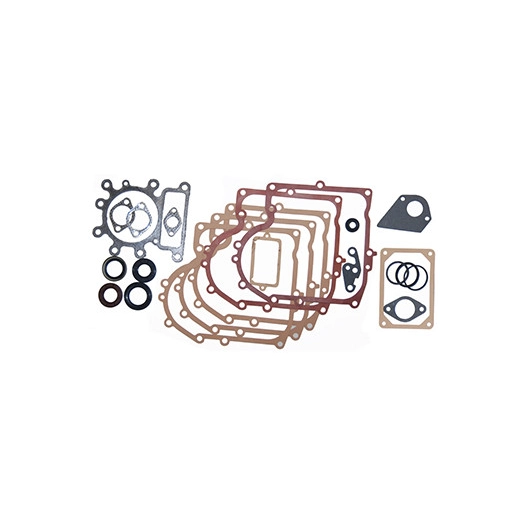 Pochette de joints adaptable pour BRIGGS & STRATTON. Remplace origine: 495993.