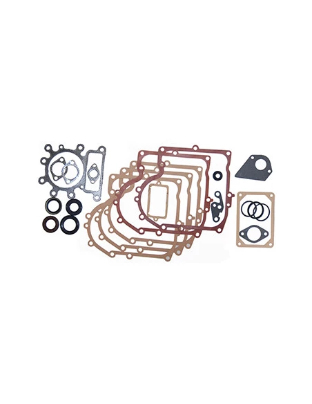 Pochette de joints adaptable pour BRIGGS & STRATTON. Remplace origine: 495993.