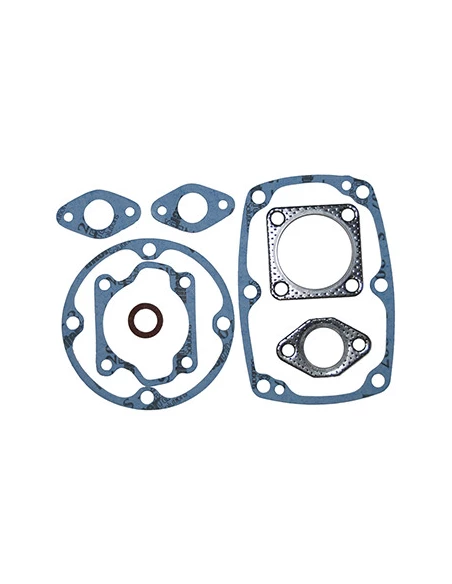 Pochette de joints adaptable pour ROBIN EC10V