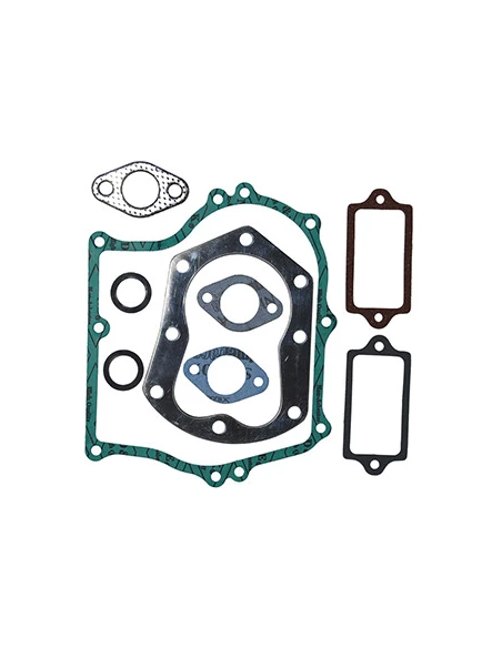 Pochette de joints adaptable pour ROBIN EY15