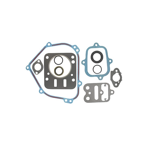 Pochette de joints adaptables BRIGGS & STRATTON. Remplace origine 798540.