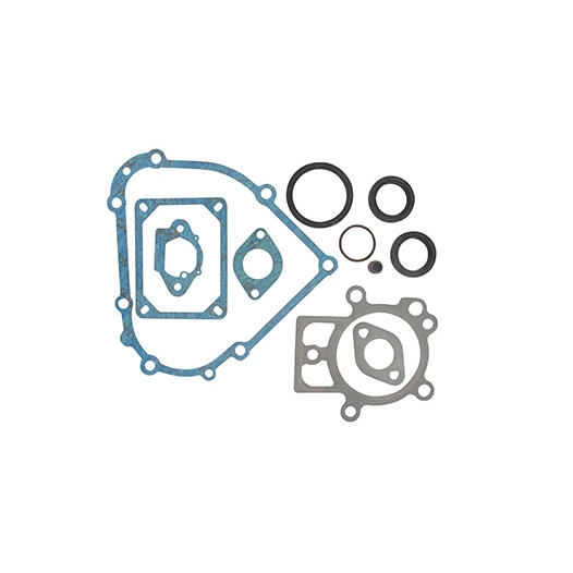 Pochette de joints adaptables BRIGGS & STRATTON. Remplace origine 798800.