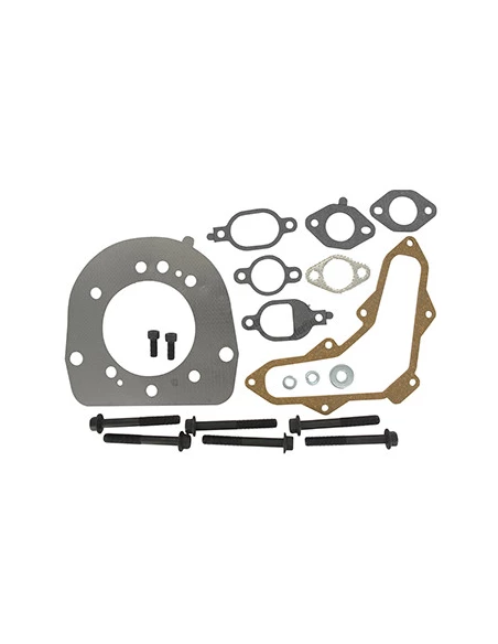 Pochette joints moteur adaptable KOHLER pour modèles Série SV. Remplace origine: 20 841 01-S.