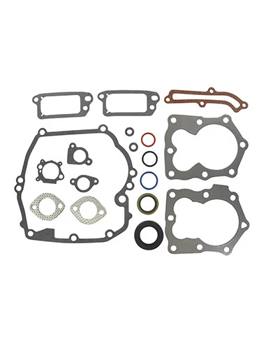 Pochette joints adaptable BRIGGS & STRATTON pour modèles 120502, 120H02, 120H07, 120K02, 120L02, 120T02, 121H02, 121H82, 121K02,