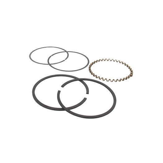 Jeu de segment adaptable pour BRIGGS & STRATTON modèles 220000 à 222000, 252000 à 257000 280000 à 286000, 10 et 11 ch.. Remplace