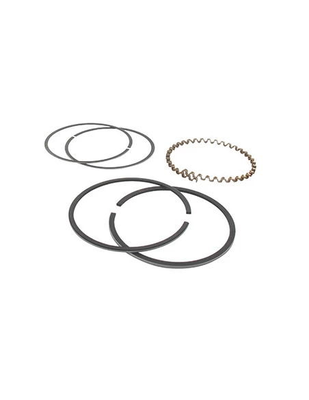 Jeu de segments Ø 88,65mm adaptable pour KOHLER modèles K321, 14 ch. (chrome). Remplace origine: 48-108-05, 236763