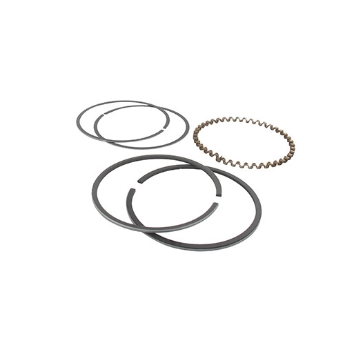 Jeu de segments adaptable pour KOHLER modèle K341 Horizontal 16 ch.. Remplace origine: 45-108-06, 4510806.