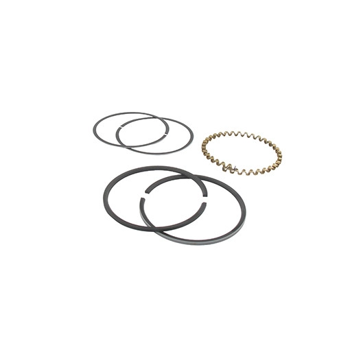 Jeu de segments adaptable pour KOHLER modèle K-181, 8 ch.. Remplace origine: 232576