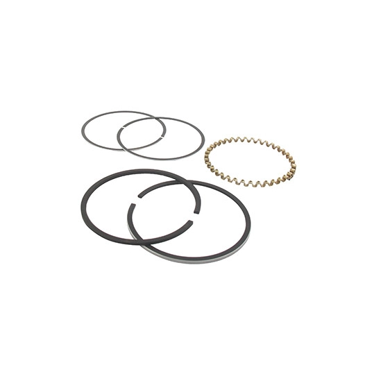 Jeu de segments adaptable pour KOHLER modèle K-241, 10 ch.. Remplace origine: 235288