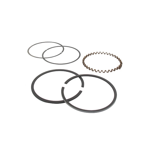 Jeu de segments adaptable pour KOHLER modèle K-301, 12 ch.. Remplace origine: 235890, 48-108-02