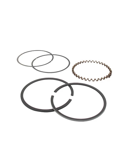 Jeu de segments adaptable pour KOHLER modèle K-301, 12 ch.. Remplace origine: 235890, 48-108-02