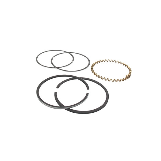 Jeu de segments adaptable pour KOHLER modèle K-241, 10 ch.. Remplace origine: 235289