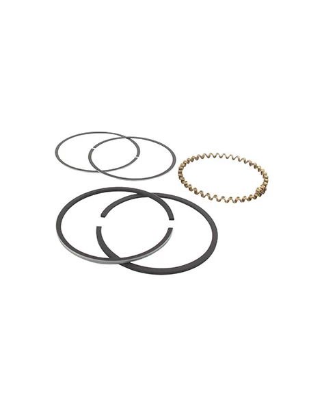 Jeu de segments adaptable pour KOHLER modèle K-241, 10 ch.. Remplace origine: 235289