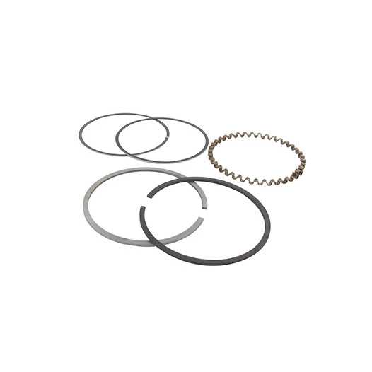 Jeu de segments adaptable pour KOHLER modèle K-301, 12 ch.. Remplace origine: 235891, 48-108-03