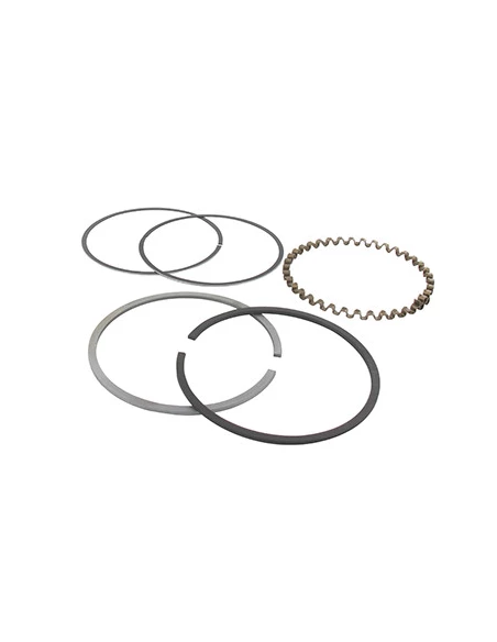 Jeu de segments adaptable pour KOHLER modèle K-301, 12 ch.. Remplace origine: 235891, 48-108-03