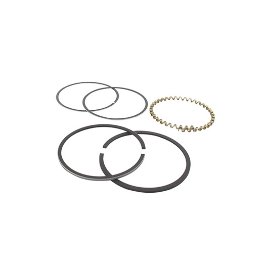 Jeu de segments adaptable pour KOHLER modèle K-241, 10 ch.. Remplace origine: 235290