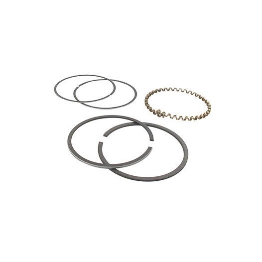 Jeu de segments adaptable pour KOHLER modèle K-301, 12 ch.. Remplace origine: 235892, 48-108-04