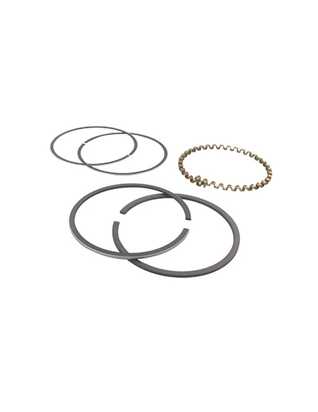 Jeu de segments adaptable pour KOHLER modèle K-301, 12 ch.. Remplace origine: 235892, 48-108-04