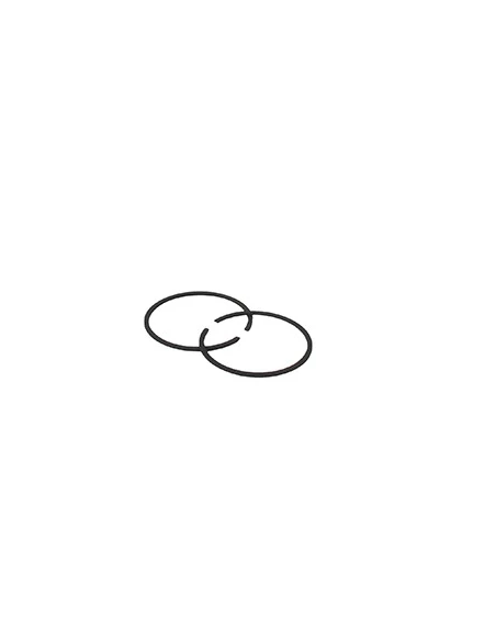 Jeu de segments de remplacement adaptable STIHL pour nos cylindrées 5709693 et 5709729, pour modèle MS260 et MS261. Ø: 44,7 (mm)